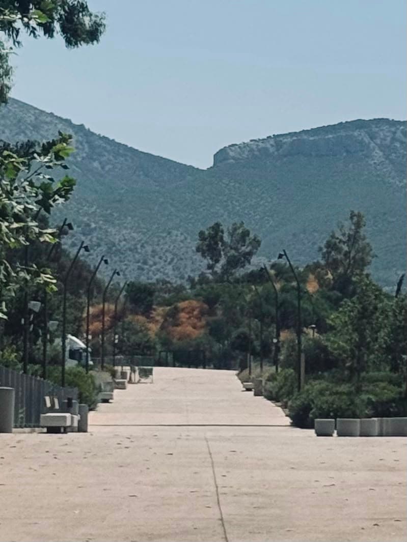 Tree-lined promenade on the grounds with mountain views